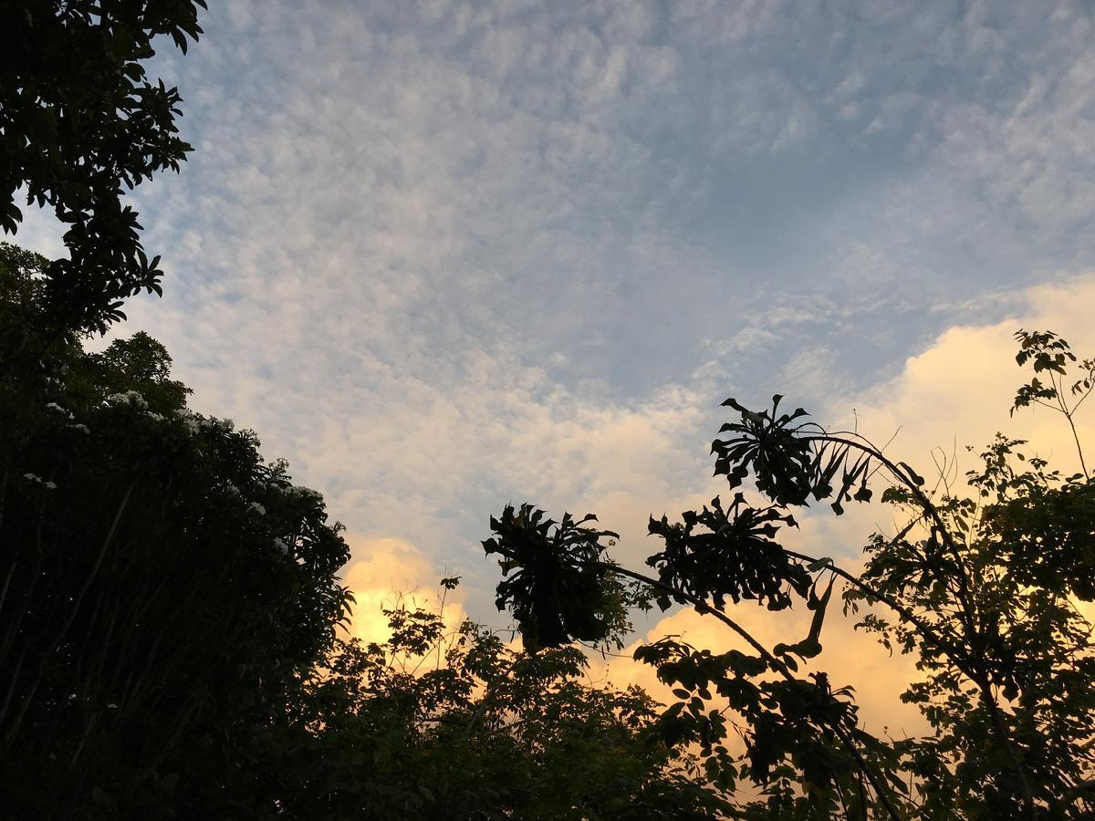 Open Sky Bed & Breakfast Weligama Exterior photo