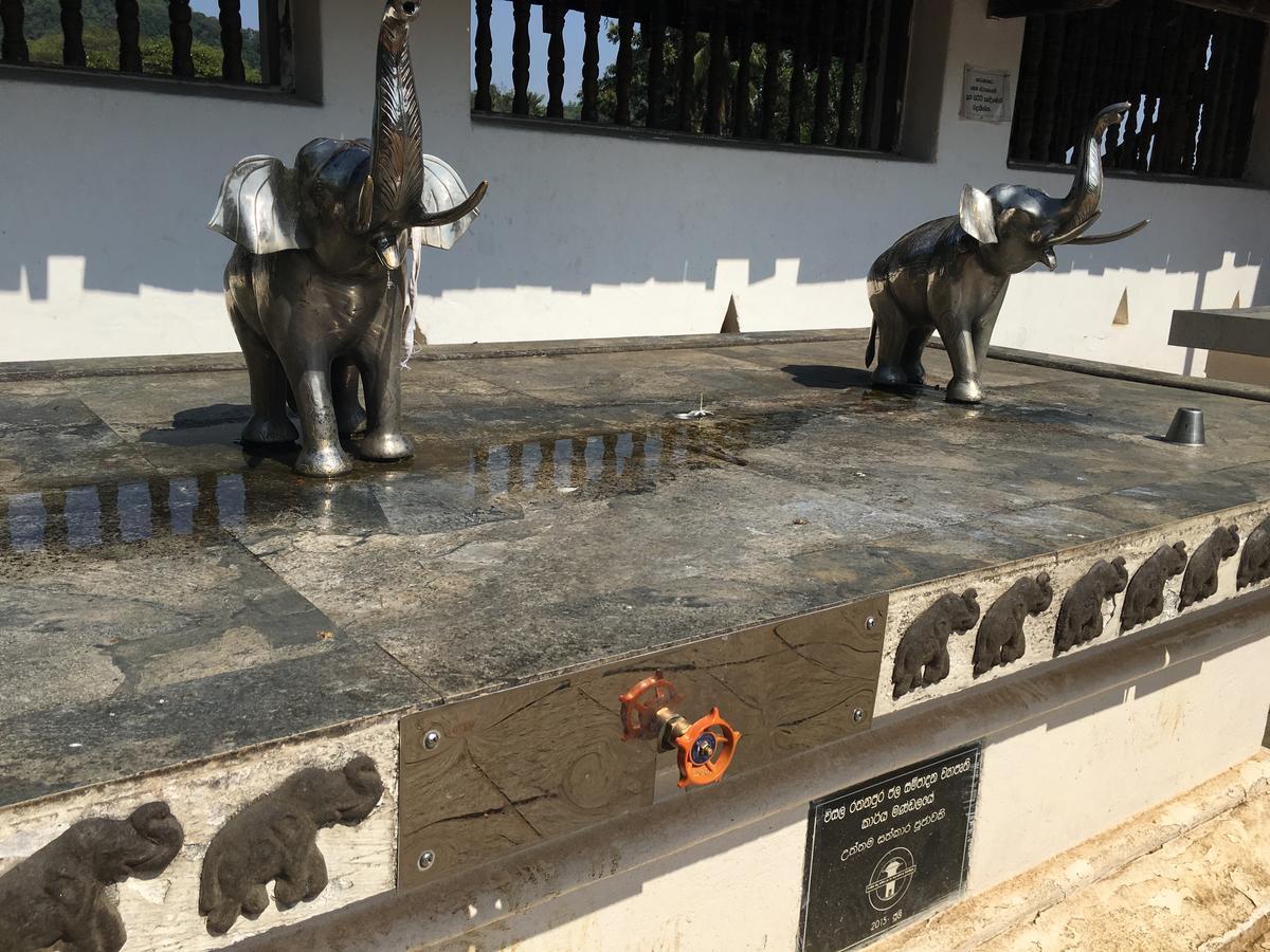 Open Sky Bed & Breakfast Weligama Exterior photo